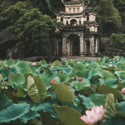 lotus_pond_temple_gosim.vn.png